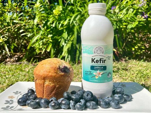 Blueberry & Vanilla Kefir Muffins