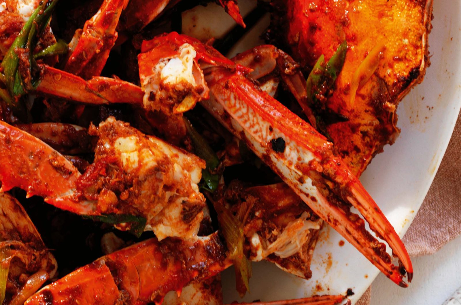 Chilli Blue Swimmer Crab Market Magazine