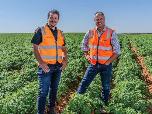 Growing goodness for every family table