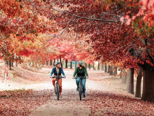 Pedal, Pause, Repeat – Exploring the Murray to Mountains Rail Trail